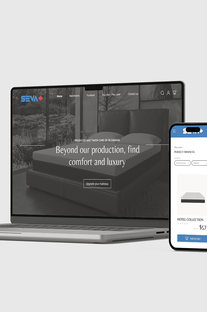 Website mockup showcase